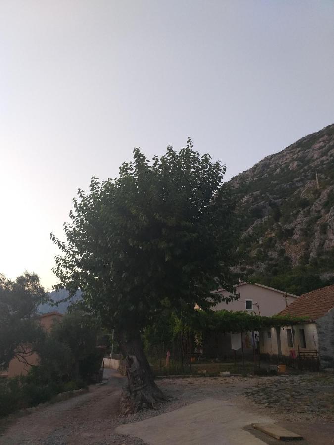 Sottomonte Apartment Kotor Ngoại thất bức ảnh